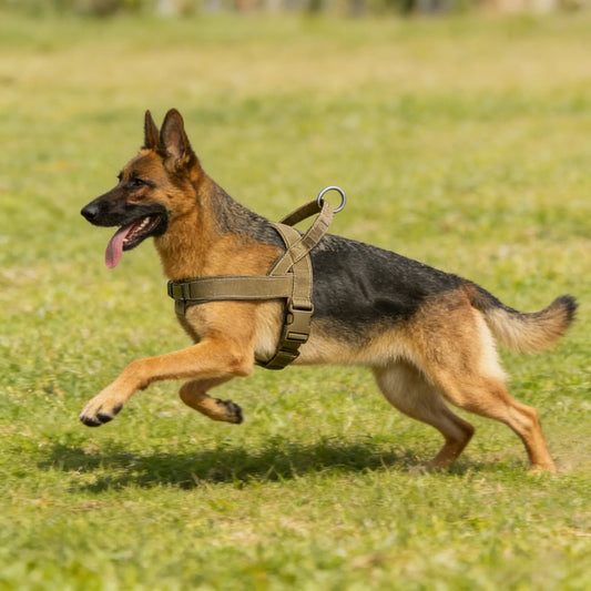 Heavy-Duty Tactical Harness for Large Breeds — product photo 2 · colors: Green, Black, Pink, Khaki