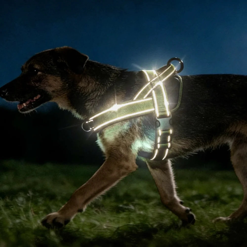 Chew-Resistant Tactical Harness for Large Dogs — product photo 4 · colors: Khaki, Black, Green