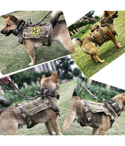 Quick-Release Tactical Training Harness — product photo 4 · colors: skin, black, Army green, CP camouflage