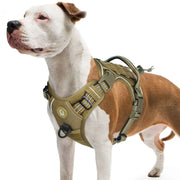 Breathable MOLLE Tactical Harness — Reflective — product photo 1 · colors: PURPLE, Dark Khaki, army green, Light Grey