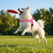 Chew-Resistant Tactical Harness for Large Dogs — product photo 3 · colors: Khaki, Black, Green