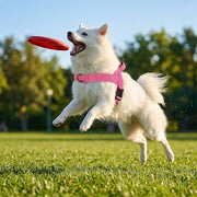 Heavy-Duty Tactical Harness for Large Breeds — product photo 3 · colors: Green, Black, Pink, Khaki