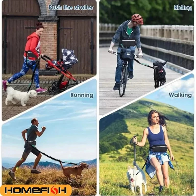 RoamRun Hands-Free Dog Leash — product photo 4 · colors: Red, Black, Blue