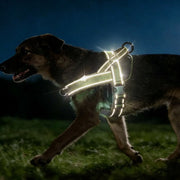 Heavy-Duty Tactical Harness for Large Breeds — product photo 4 · colors: Green, Black, Pink, Khaki
