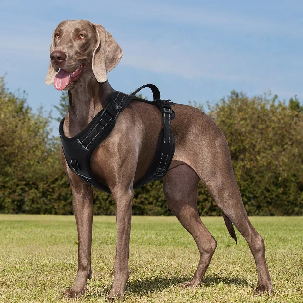 No-Pull Tactical Harness with Reflective Strips — product photo 1 · colors: pink, orange, green, black