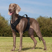 No-Pull Tactical Harness with Reflective Strips — product photo 1 · colors: pink, orange, green, black
