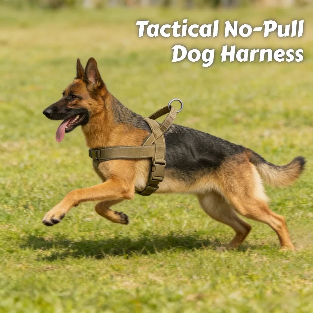 Chew-Resistant Tactical Harness for Large Dogs — product photo 1 · colors: Khaki, Black, Green