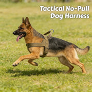 Chew-Resistant Tactical Harness for Large Dogs — product photo 1 · colors: Khaki, Black, Green