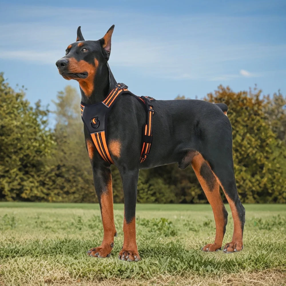 No-Pull Tactical Harness with Reflective Strips — product photo 3 · colors: pink, orange, green, black
