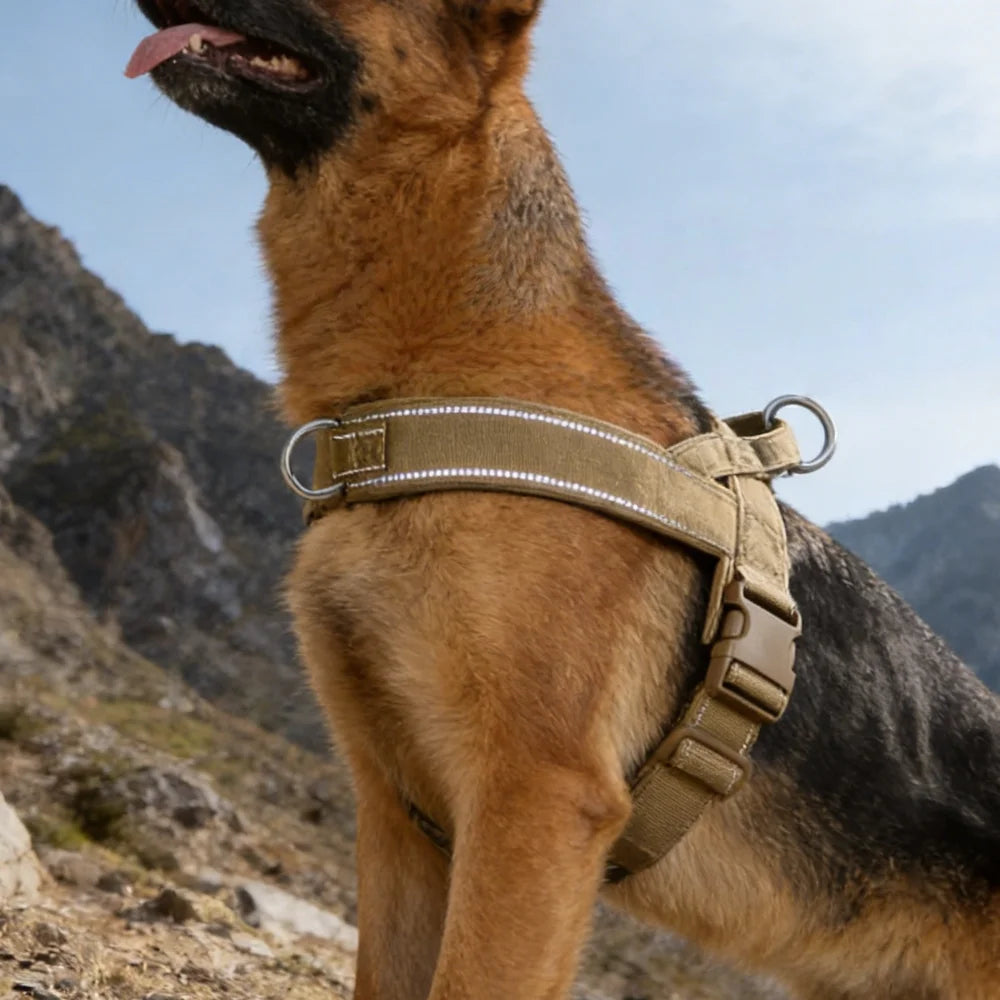 Chew-Resistant Tactical Harness for Large Dogs — product photo 2 · colors: Khaki, Black, Green