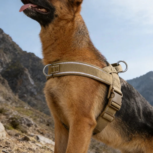 Chew-Resistant Tactical Harness for Large Dogs — product photo 2 · colors: Khaki, Black, Green