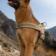 Heavy-Duty Tactical Harness for Large Breeds — product photo 1 · colors: Green, Black, Pink, Khaki