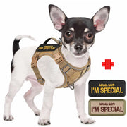 Small Dog Tactical Harness with Vertical Handle — product photo 1 · colors: Dog Harness--KHAKI, Dog Harness--K--S, Dog Harness--BLACK, Dog Harness--B--S, Harness--PINK--SET, Harness--BLUE--SET