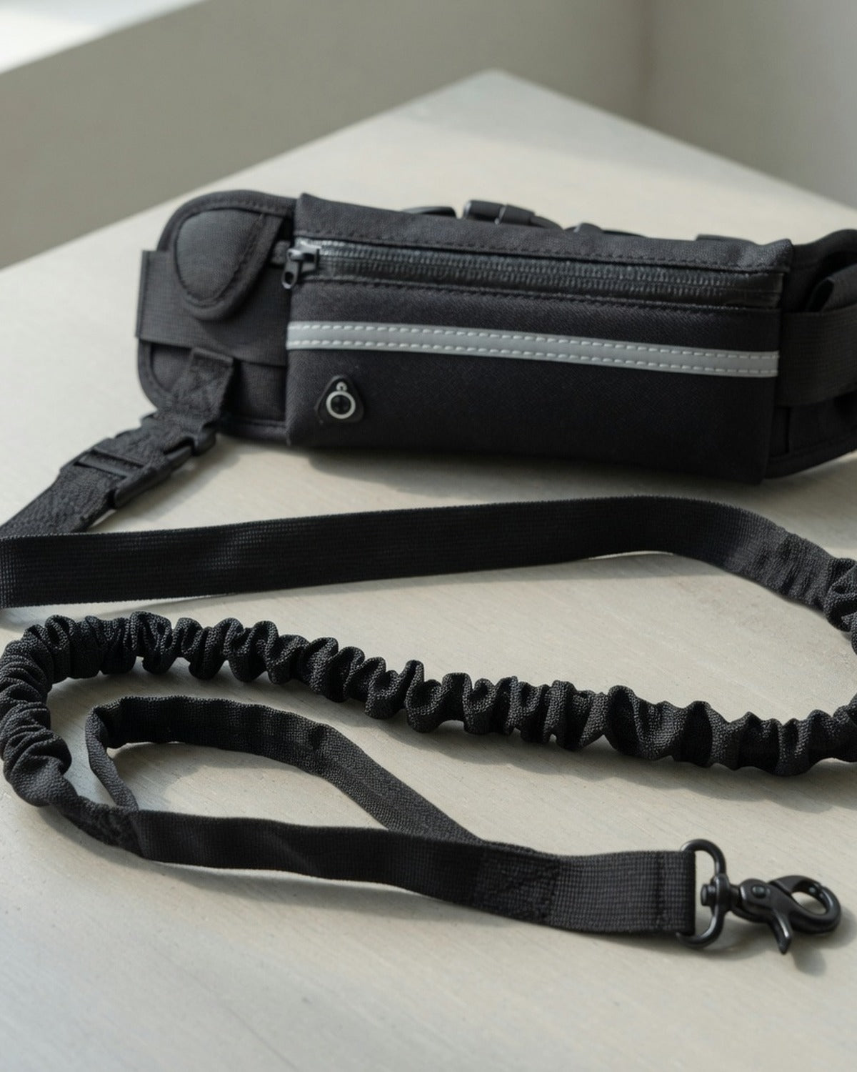RoamRun Hands-Free Dog Leash — full product detail photo